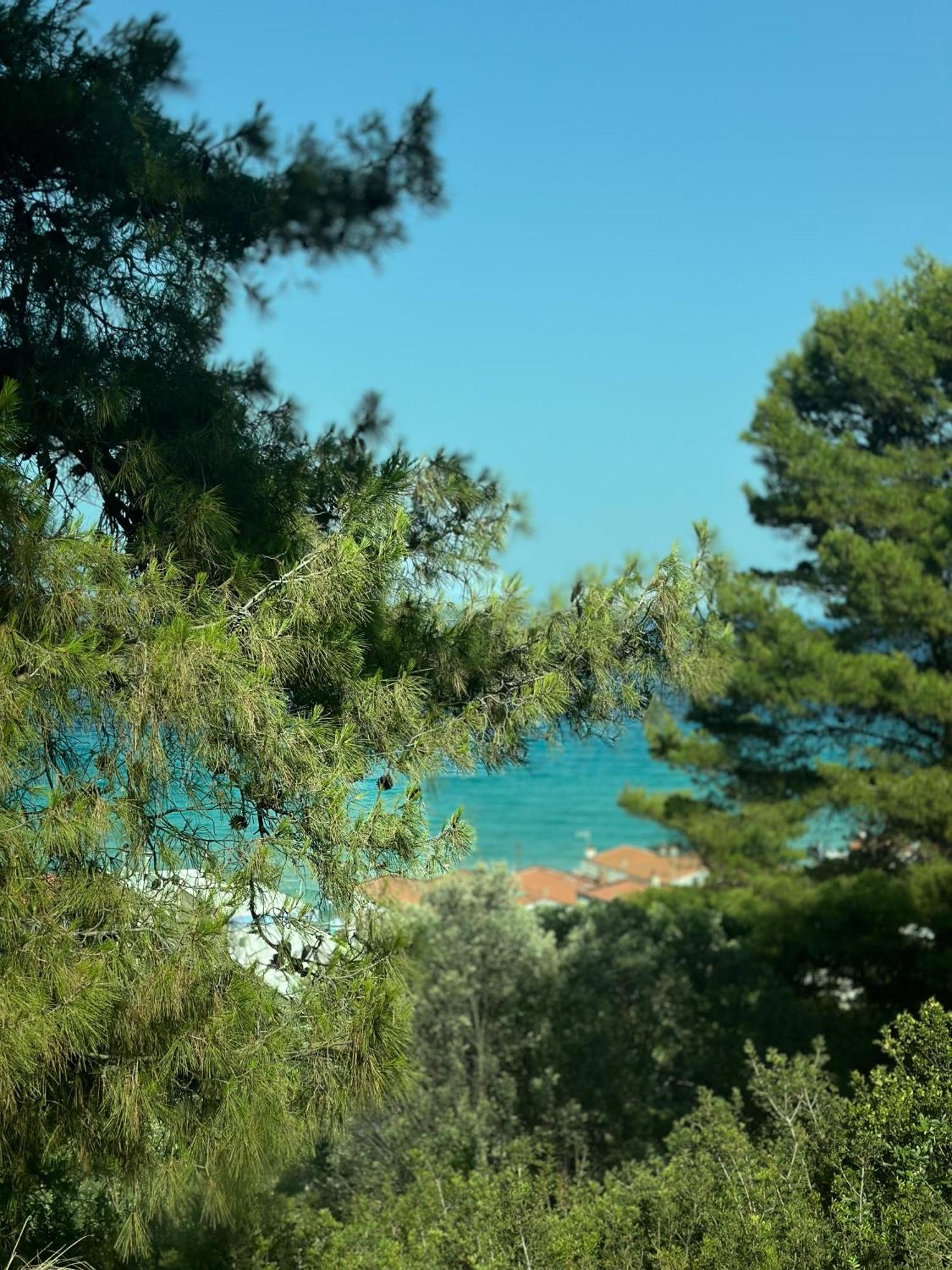 Apartment Victory Vip Kallithea (Chalkidiki)